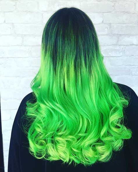 Every once in awhile I get to do fun colors  #greenhairdontcare #emo #fantasycolors #manicpanic #greenombre Green Hair Ideas, Green Hair Color Ideas, Green Hair Color, Dark Hair Dye, Neon Green Hair, Emerald Green Hair, Dark Ombre Hair, Green Hair Dye, Blue Ombre Hair