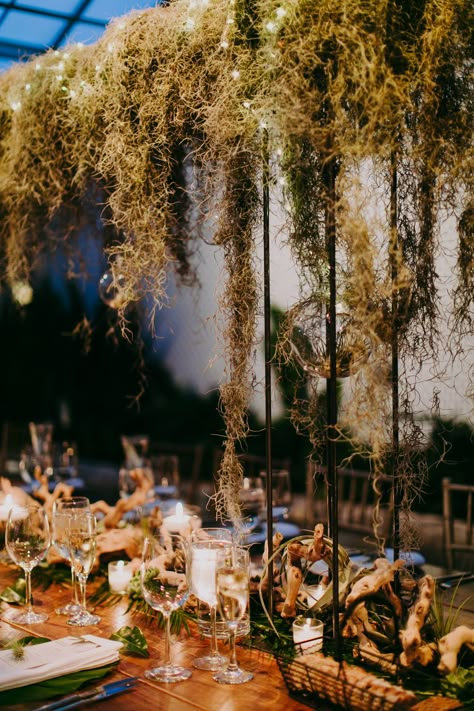 Hanging Spanish moss, romantic lighting, and driftwood creates a gorgeous reception table. #tablescape #greenery #wedding Enchanted Bayou Wedding, Hanging Moss Wedding, Seaweed Wedding Decor, Spanish Moss Floral Arrangements, Hanging Moss Decor, Spanish Moss Wedding Centerpiece, Spanish Moss Table Decor, Spanish Moss Wedding Arch, Moss Wedding Arch