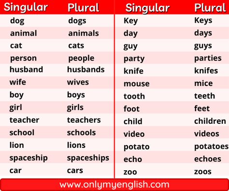 Comparison between Singular and plural nouns: Person Place Thing, Singular And Plural Nouns, Singular Nouns, English Grammar Rules, Singular And Plural, Basic English, English Learning Spoken, Plural Nouns, Brain Exercise