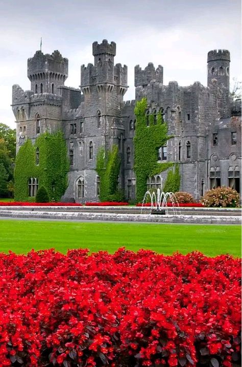 Cong Ireland, Ashford Castle, Irish Castles, Ireland Landscape, Castle Ruins, Castle House, Fantasy Castle, Beautiful Castles, A Castle