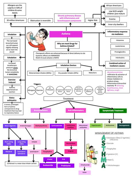 Pneumonia Nursing, Pharmacy School Study, Pharmacology Mnemonics, Nursing Pharmacology, Visual Learner, Nursing School Essential, School Nursing, Nursing Study Guide, Medicine Notes