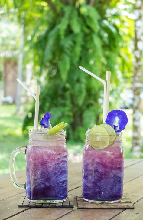 Pea Flower Tea, Lemonade Drink, Dried Hibiscus Flowers, Butterfly Pea Tea, Butterfly Pea Flower Tea, Vibrant Butterfly, Chocolate Bonbons, New Personality, Flower Ice