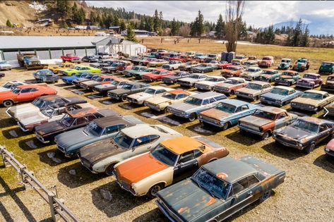 Junkyard Cars, Antique Cars For Sale, Vintage Cars For Sale, Wrecking Yards, Luxury Cars For Sale, Old Vintage Cars, Rusty Cars, Car Repair Service, Abandoned Cars