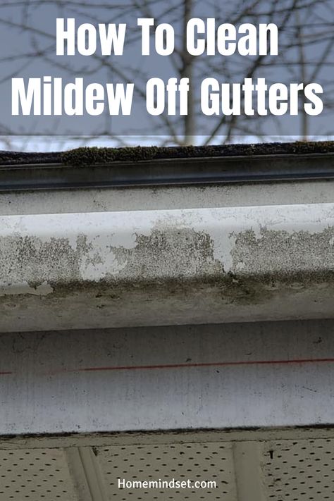 Want to know how to clean mildew off gutters? Well give you a step-by-step guide that you never want to miss. Cleaning Siding On House Diy, Gutter Cleaning Hacks, How To Clean Gutters, Clean Siding, House Gutters, Cleaning Vinyl Siding, Pressure Washer Tips, Driveway Resurfacing, How To Clean Aluminum