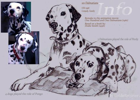 Canine Drawing, Canine Art, Arte Inspo, Wow Art, Animal Sketches, Dog Paintings, Sketchbook Art Inspiration, New Version, Art Block