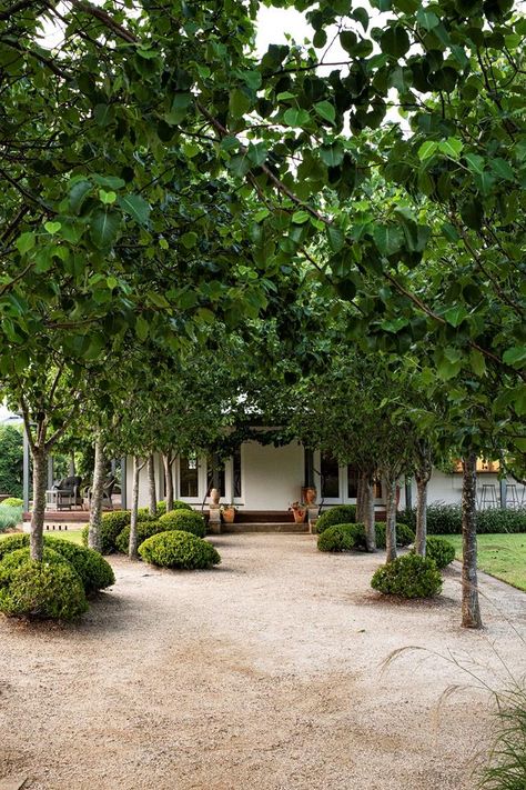 Garden Ideas Australia, Ornamental Pear Tree, Country Style Magazine, Country Garden Design, Coastal Garden, Australian Garden, Coastal Gardens, Farmhouse Garden, Low Maintenance Garden