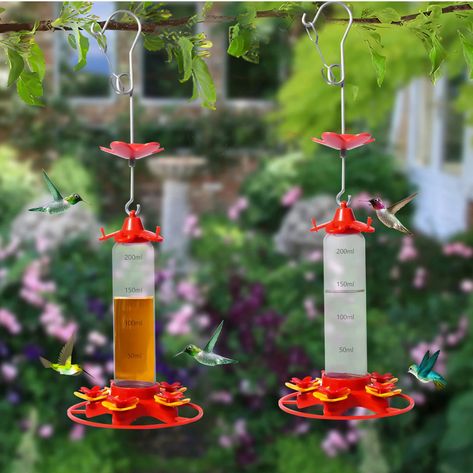 Hummingbird Water, Wild Bird Feeders, Hummingbird Feeder, Hanging Bird Feeders, Bird Supplies, Humming Bird Feeders, Outdoor Decor Backyard, Hanging Garden, Backyard Birds