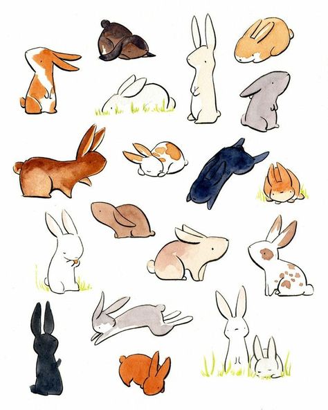 Drawing Inspo Animals, Animal Studies, 강아지 그림, Animal Study, My Animal, Bunny Art, Arte Sketchbook, Arte Inspo, Drawing Inspo