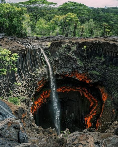 Hawaiian Paradise: Akaka Falls Akaka Falls, Hawaii Nature, The Big Island Hawaii, The Big Island, Big Island Hawaii, Hawaiian Islands, Big Island, Natural Wonders, Places To Go