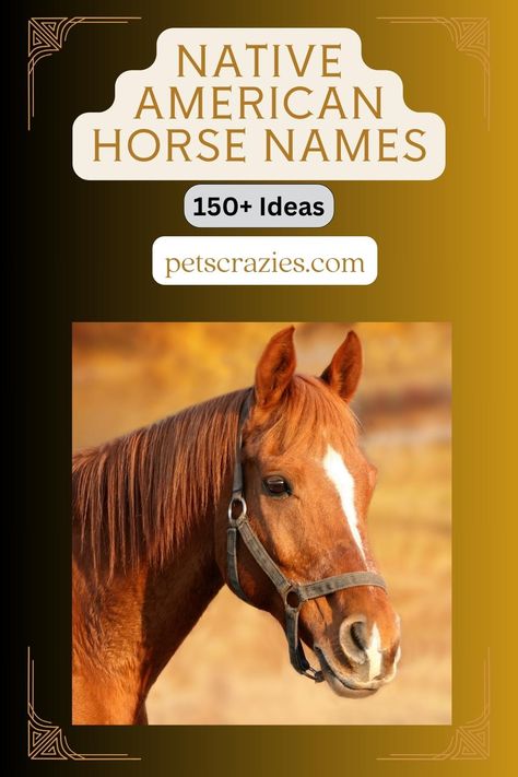 iscover the enchanting world of Native American horse names! Immerse yourself in the rich cultural heritage and deep spiritual connection between Native Americans and their majestic equine companions. From powerful warrior names to serene nature-inspired choices, this collection of names will captivate your heart. 🏹✨ #NativeAmericanHorseNames #EquineSpirits #CulturalHeritage #HorseLovers #SpiritualConnection Western Horse Names List, Cool Horse Names, Native American Names And Meanings, Native American Girl Names, Western Horse Names, Native American Names, Beautiful Flower Names, Western Baby Names, Spiritual Names