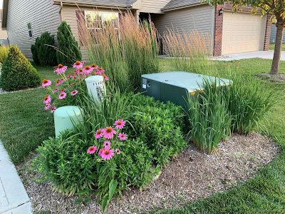 Creative Landscaping, Front Lawn Landscaping, Front Landscaping, Plant Covers, Lawn And Landscape, Front Lawn, Front House Landscaping, Home Landscaping, Plant Combinations