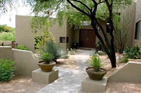 Desert Landscape Design, Amazing Landscaping Ideas, Succulent Landscape Design, Succulent Landscaping, Modern Landscape Design, Low Maintenance Landscaping, Desert Garden, Landscaping Tips, Desert Landscape