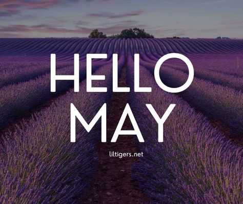 200 Hello May Quotes Happy May 1st Quotes, May 1st Quotes, Welcome May Quotes, Quotes About May, May Captions, May 1 Quotes, Hello May Quotes, Funny Hello, Welcome May