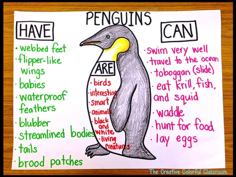 The Creative Colorful Classroom: Penguin Anchor Chart Penguin Anchor Chart, Penguin Activities, Colorful Classroom, Winter Classroom, Winter Kindergarten, Polar Animals, The Penguins, Winter Preschool, Informational Writing