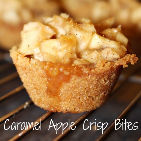 The Perfect Fall Dessert – Caramel Apple Crisp Bites Ahhhhh….. Fall is here.  The air is crisp and cool.  The leaves are changing colors. BUT, best of all it is apple picking season!!  My family and some friends went apple picking today.  There is nothing like a fresh apple picked right off of … Apple Crisp Bites, Focaccia Dolce, Caramel Apple Crisp, Homemade Graham Cracker Crust, Princess Pinky Girl, Pinky Girl, Apple Bite, Homemade Graham Crackers, Caramel Apple