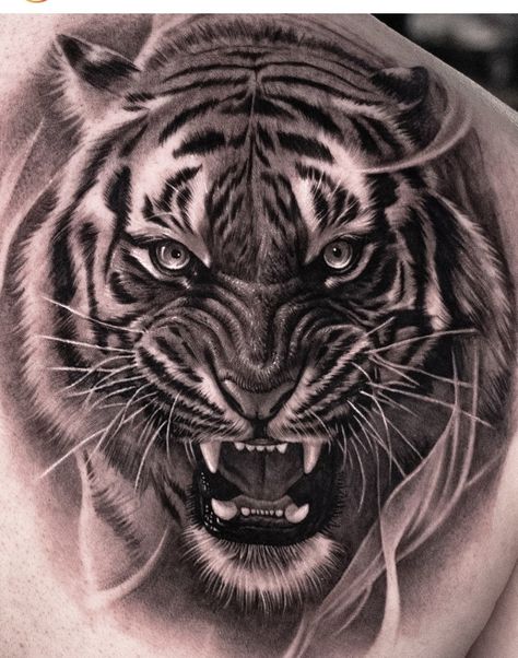 Full Tiger Tattoo Design, Big Tiger Tattoo, Ancient Viking Tattoos, Tiger Face Back Tattoo, Tiger Tattoo Roaring, Tiger Chest Tattoo, Realistic Tiger Tattoo, Tiger Growling Tattoo, Tattoos Tiger