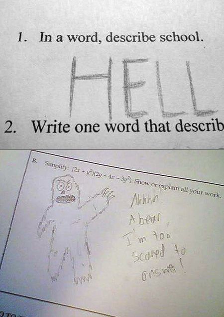 . Funny Kids Answers On Tests, Funniest Test Answers, Funny Exam Answers, Funny Test Answers Student, Funny Pictures With Words, Funniest Kid Test Answers, Kids Test Answers, Serious Questions, Funny Mean Quotes