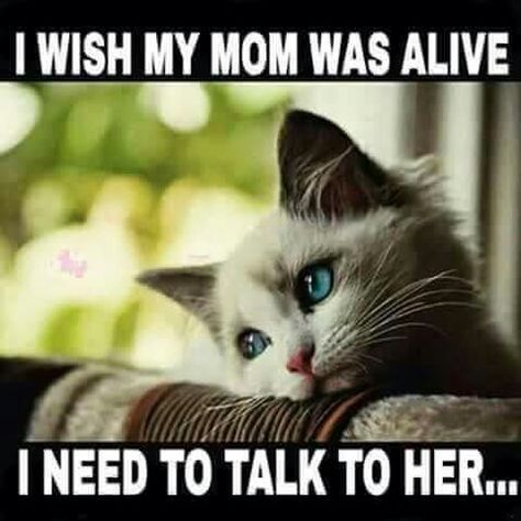 I wish my mom was alive... I need to talk to her!   : ( Miss U Mom, Mom I Miss You, Cat Problems, I Miss My Mom, Remembering Mom, Miss Mom, Mom In Heaven, Miss My Mom, Miss You Mom