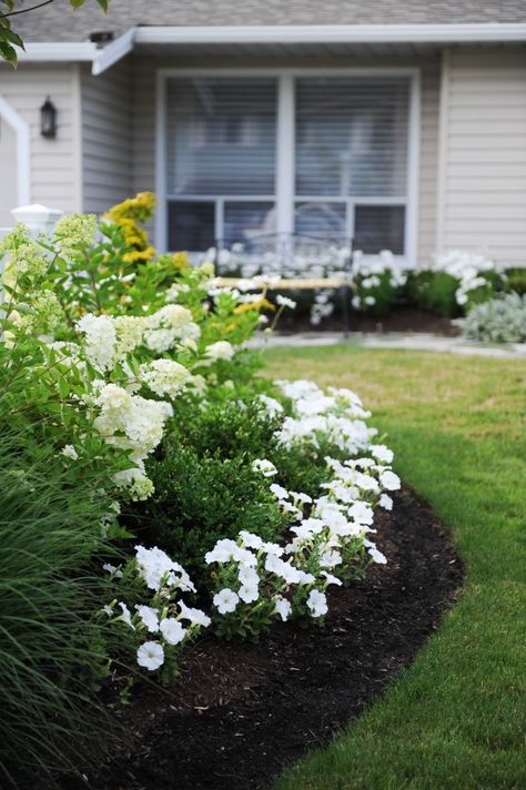 Maria Killam's White Garden Transformation: Before & After - White Petunias, Perennial Garden Design, Low Maintenance Landscaping Front Yard, Cottage Landscape, Garden Transformation, Hydrangea Landscaping, Maria Killam, Front Stoop, White Flower Arrangements