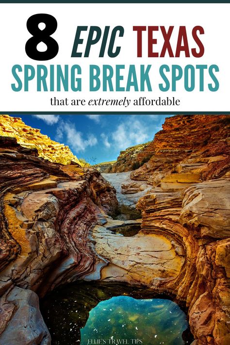 Most affordable cities in Texas for spring break vacations. These top Texas vacation spots are perfect for your affordable spring break! Spring Break In Texas, Texas Spring Break With Kids, Spring Break Texas, Texas Vacation Spots, Spring Break Getaways, Texas Spring, Spring Break Camping, San Antonio Zoo, Spring Break Kids