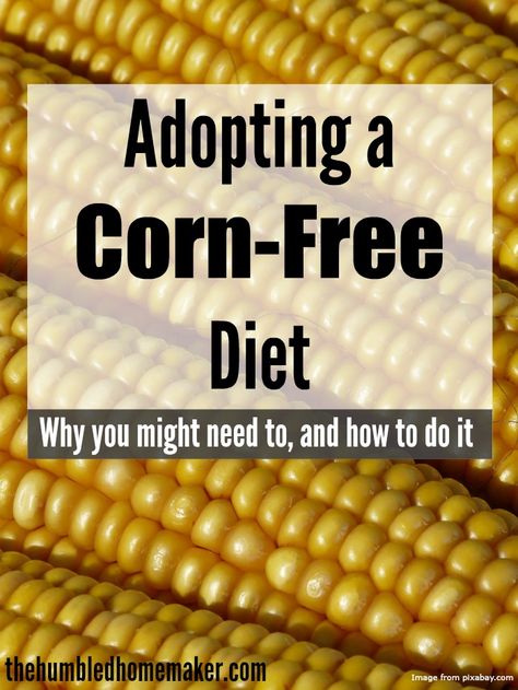 If you have to switch to a corn-free diet, this post is a must-read! Here's why you might want to switch to corn-free, plus tips for eliminating corn. Corn Free Diet, Corn Allergy, Corn Free Recipes, Special Diet Recipes, Lactose Free Diet, Dairy Free Diet, Allergy Free Recipes, Makanan Diet, Food Intolerance