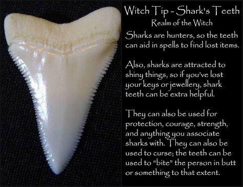 Wiccan Witch, Shark Teeth