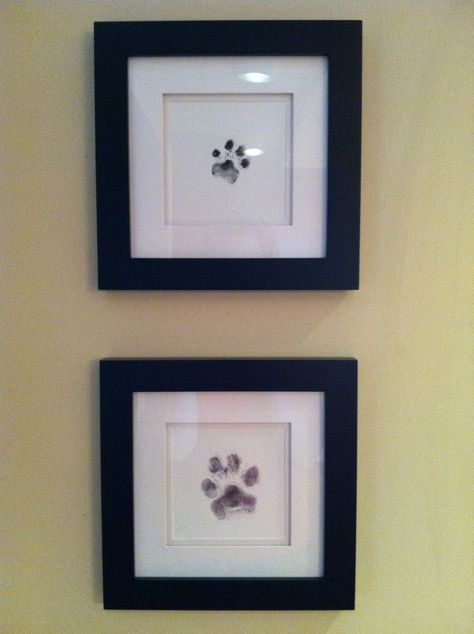 Framed Dog Paw Print, Dog Memorabilia Ideas, Pet Memorabilia Ideas, Simple Home Diy Upgrades, Dog Photo Wall Ideas, Pet Photo Wall, Multi Cat Household, Dog Artwork Diy, Dog Nook Ideas Apartment