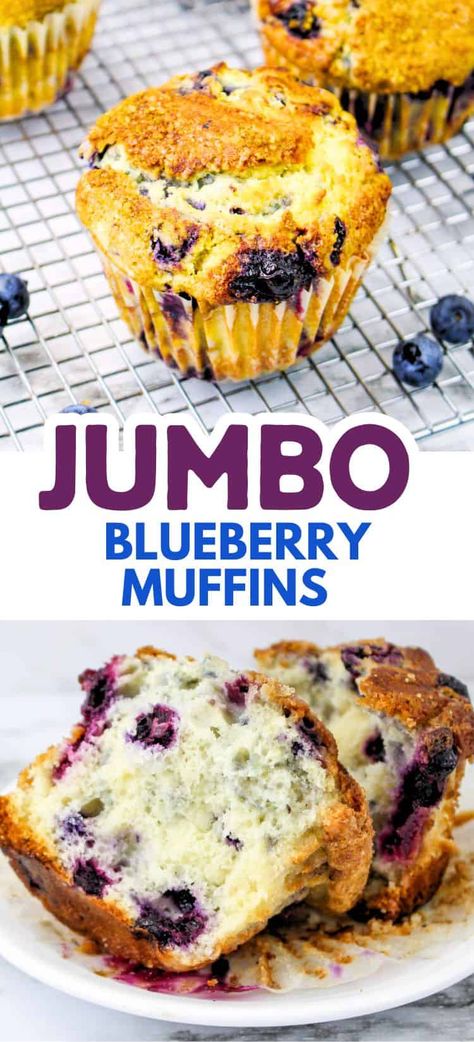 These delicious jumbo blueberry muffins are so easy to make with this simple and delightful recipe! The perfect bread for breakfast, picnics or dessert! Jumbo Blueberry Muffins Recipe, Jumbo Muffin Recipes, Biscuit Muffins, Jumbo Blueberry Muffins, Bread For Breakfast, Double Chocolate Chip Muffins, Blueberry Muffins Recipe, Jumbo Muffins, Breakfast Quiche Recipes