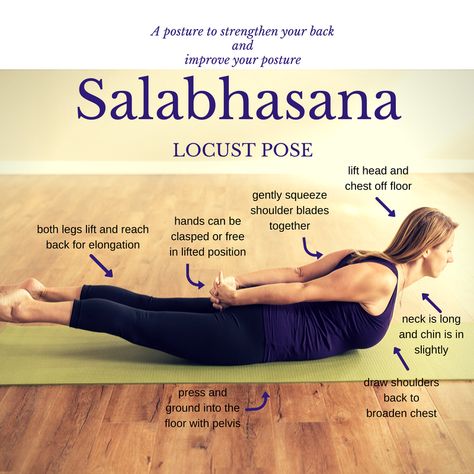 Locust Pose Salabhasana Pose, Locust Pose Yoga, Yoga Cues, Bandha Yoga, Locust Pose, Yoga Teacher Resources, 200 Hour Yoga Teacher Training, Yoga Breathing, Yoga Poses Advanced