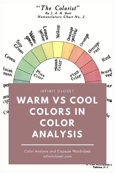 Cool Vs Warm Colors, Warm Vs Cool Colors, Cool Summer Palette, Warm And Cold Colours, Soft Summer Palette, Cool Color Palette, Opposite Colors, Warm And Cool Colors, True Winter