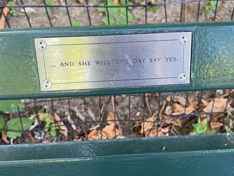 Central Park Bench, Dream Face, Everything I Wanted, Everything Will Be Alright, 2025 Vision, Debt Free, Wedding Book, Park Bench, Central Park