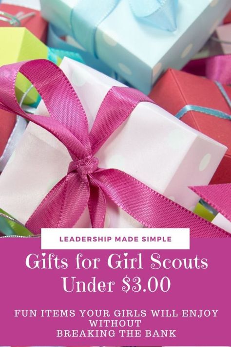 Gifts for Girl Scouts Under $3.00 -Fun items to give the girls in your troop. Girl Scout Christmas Gifts, Girl Scout Gift Ideas, Girl Scout Vest, Girl Scout Gifts, Brownie Scouts, Girl Scout Daisy, Inexpensive Christmas Gifts, Daisy Scouts, Girl Scout Juniors