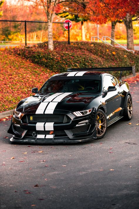 "SKUNKIE by eightlug" Vehicle Profile - S550 Mustangs | The Mustang Forum for Track Enthusiasts - TrackMustangsOnline.com Siyah Mustang, Gt350 Shelby, Kereta Sport, Mobil Mustang, Luxe Auto's, Мотоциклы Harley Davidson, Muscle Cars Mustang, Mustang Wallpaper, Shelby Mustang