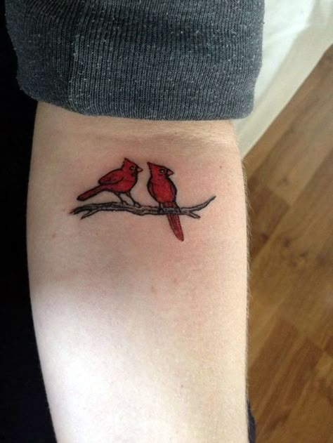 Red Cardinal Tattoos, Little Birds Tattoo, Small Cardinal Tattoo, Robin Bird Tattoos, Small Bird Tattoos, Red Bird Tattoos, Tiny Bird Tattoos, Cardinal Tattoo, Cardinal Tattoos