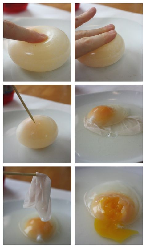 Naked Egg Experiment Bursting Egg Osmosis Experiment, Egg In Vinegar, Egg Science, Egg Experiment, Bouncy Egg, Rubber Egg, Easter Stem, Egg Experiments, Experiment For Kids