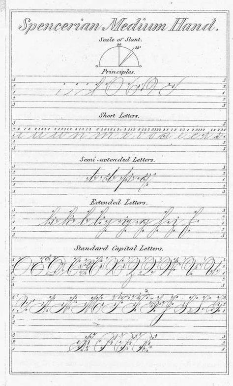 Practical Penmanship, 1869 Historical Calligraphy, Spencerian Handwriting, Spencerian Penmanship, Creative Handwriting, Spencerian Script, Cute Fonts Alphabet, Penmanship Practice, Fountain Pens Writing, Alphabet Handwriting Practice