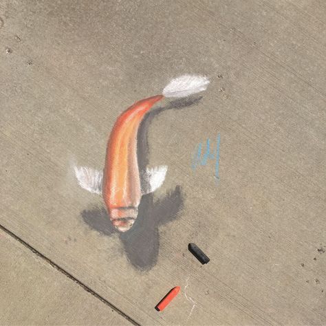 Go follow my Instagram @works_by_mertz #art#chalk#sidewalk#sidewalkchalk#sidewalkart#3Dart#3Dchalk#3Dchalkart#chalkart#koi#koifish#koifishart#fishart#fish#fishdrawing#drawing#timelapse#arttimelapse#drawingtimelapse#artideas#chalkideas#chalkartideas#drawingideas Fish Chalk Art, Colourful Jellyfish, Chalk Art Festival, Street Chalk Art, Fun Chalk Art, Kristina Webb, 3d Chalk Art, Jellyfish Drawing, Art To Make