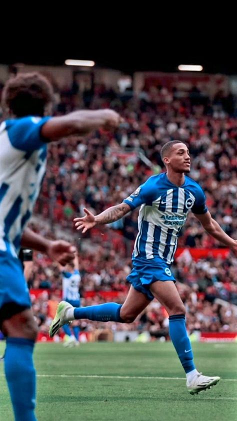 Wallpaper Football Players, Soccer Wallpapers, Wallpaper Football, Brighton Hove Albion, Brighton & Hove Albion, Football Wallpapers, Brighton And Hove, Football Wallpaper, 4k Wallpaper