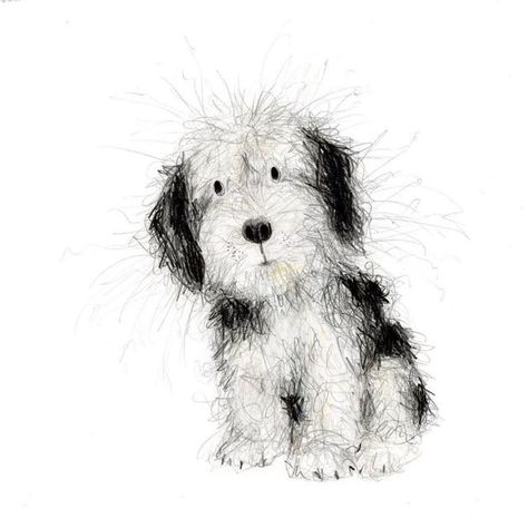 Catherine Rayner, Dog Watercolor Painting, Scribble Art, 강아지 그림, Black And White Dog, White Dog, Watercolor Dog, Dog Illustration, Dog Drawing