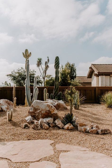 Minimalist Rock Garden, Aspen Landscaping, Desert Plants Landscaping, Low Maintenance Garden Ideas, Cactus Garden Design, Desert Landscaping Backyard, Cactus Garden Landscaping, Cool Cactus, Flagstone Pathway