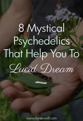 8 Mystical Herbs and Legal Psychedelics For Lucid Dreaming ⋆ LonerWolf Dream Herbs, Magic Herbs, Magical Herbs, Herbal Apothecary, Herbal Healing, Vie Motivation, Herbal Magic, Herbs For Health, Lucid Dreaming