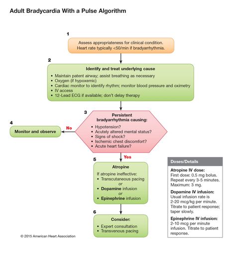 Acls algorithms, updates, evidence based studies Signs Of Shock, Acls Algorithm, Advanced Cardiac Life Support, Cardiac Rhythms, Cardiopulmonary Resuscitation, Chest Discomfort, Basic Life Support, Nursing Study Guide, Iv Infusion