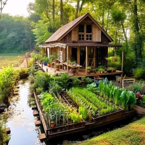 Earthy Home, A Small House, Hippie Homes, Bamboo House, Tropical House, Earthship, Village House Design, Tiny House Cabin, Cabins And Cottages