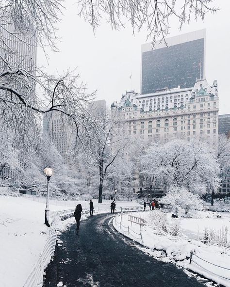 New York Basic🗽 | NYC BLOG on Instagram: “Winter wonderland in New York City 💙☃️❄️🇺🇸 . 📸: @jssilberman ↓ Follow: @newyorkbasic • #newyorkbasic #newyorkcity #centralpark…” Winter In New York, New York Winter, Nyc Christmas, Winter Szenen, Winter Scenery, Destination Voyage, The Plaza, Winter Aesthetic, Pretty Places