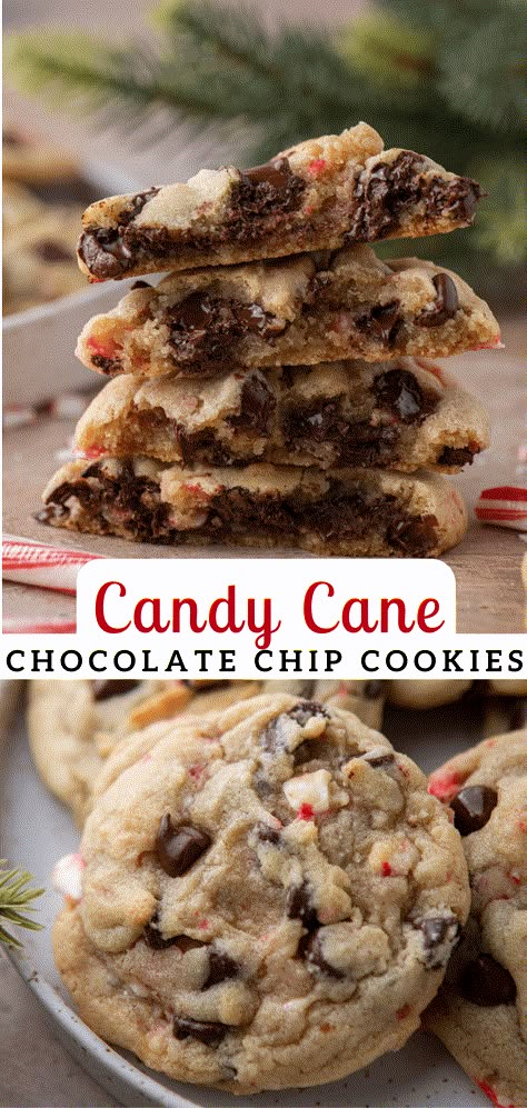 These peppermint candy cane chocolate chip cookies are the ultimate leave-out for Santa cookies! They are soft and chewy with crunchy pieces of candy cane in there! Chocolate Chip Peppermint Cookies Recipe, Blue Ribbon Chocolate Chip Cookies, Candy Cane Chocolate Cookies, Peppermint Chip Cookies Recipe, Dark Chocolate Candy Cane Cookies, Chocolate Chip Candy Cane Cookies, Candy Cane Chocolate Chip Cookies, Peppermint Candy Cane Cookies, Andies Candies Cookies