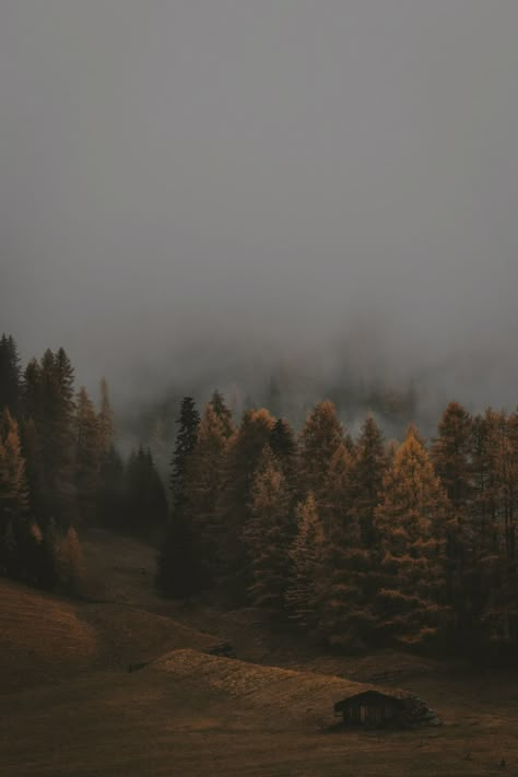 Moody Autumn Aesthetic, Fall In The Mountains, Smell Of Rain, Vintage Flowers Wallpaper, What Lies Beneath, Simple Aesthetic, Season Of The Witch, Sunset Wallpaper, Autumn Cozy