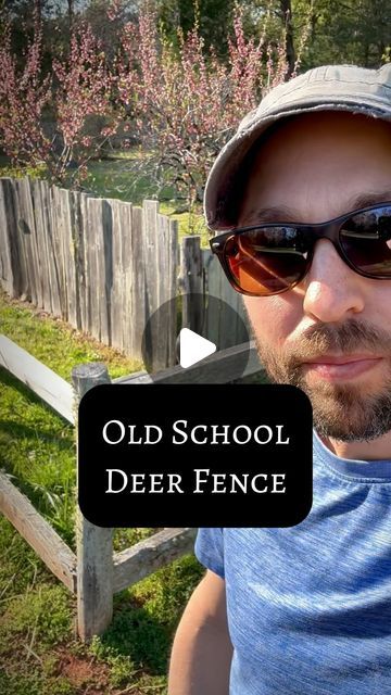 Deer Garden Fence Ideas, Deer Fencing Around Garden, Acreage Fencing, Deer Fence Ideas, Deer Fence For Garden, Deer Proof Garden, Juniper Bush, Deer Deterent, Deer Fencing