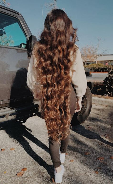 Norma Calero ❤️‍🔥 Bushy Hair, Curly Hair Style, Help Hair Grow, Long Brunette, Long Hair Pictures, Style 2023, Super Long Hair, Hair Stylist Life, Long Hair Girl