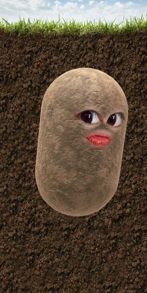 Potato, Filter