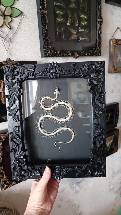 Available online! Oddities home decor - framed snake skeleton Curiosities Decor, Goth Crafts, Snake Decor, Bird Eating, Snake Skeleton, Oddities Decor, Entomology Art, Dark Things, Earthy Bedroom